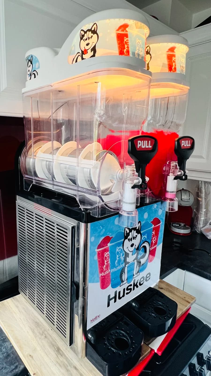 Slush Machine Twin Tank